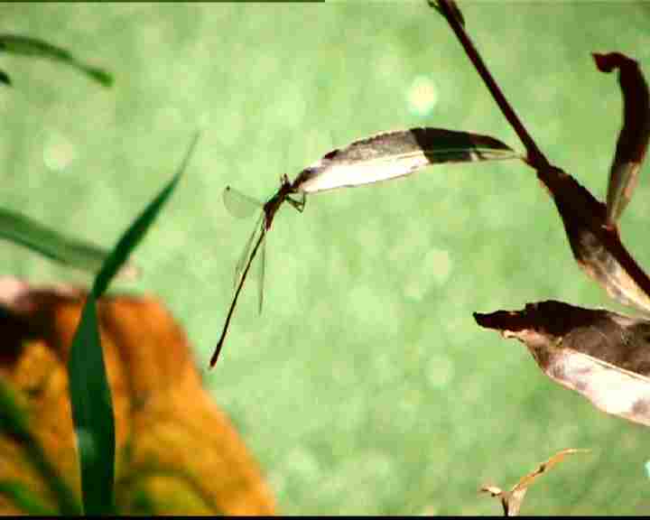 Villaggio ecologico di Granara villaggio ecologico di Granara