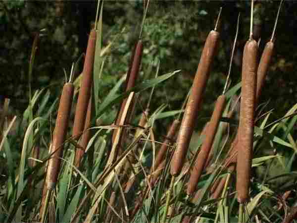 Villaggio ecologico di Granara villaggio ecologico di Granara